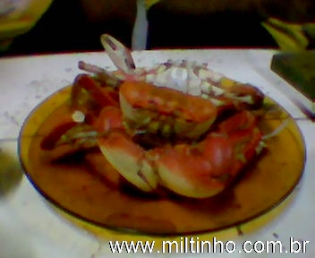 Foto - Caranguejo-Aracaju.jpg