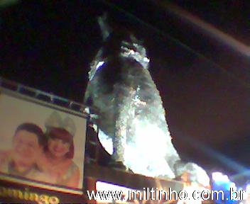 Foto - Lupus-cachorro.jpg