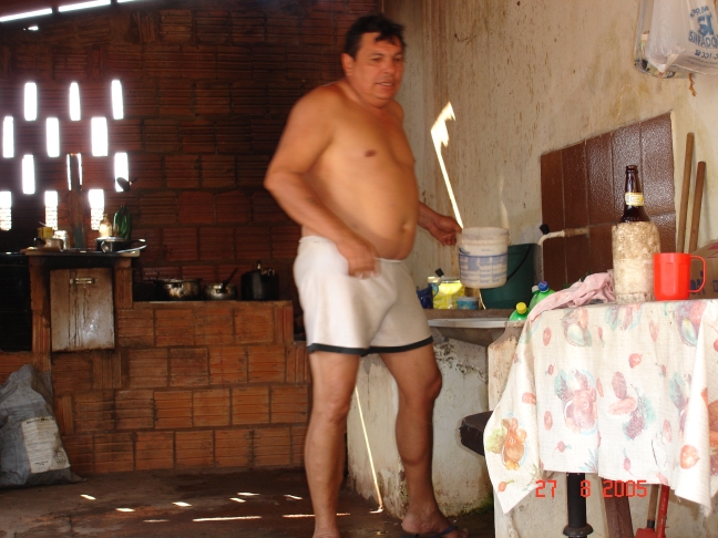 Foto - Palmeiras_(11).jpg