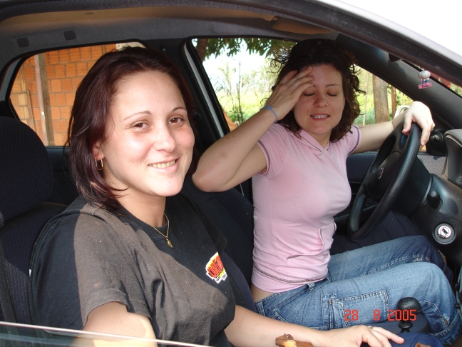 Foto - Palmeiras_(2).jpg