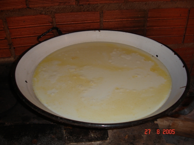 Foto - Palmeiras_(22).jpg