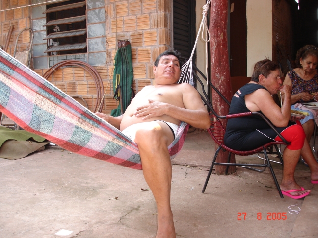 Foto - Palmeiras_(24).jpg