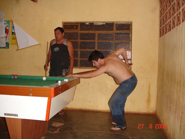 Foto - Palmeiras_(30).jpg