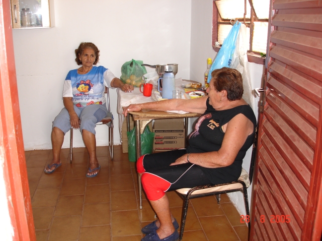 Foto - Palmeiras_(36).jpg