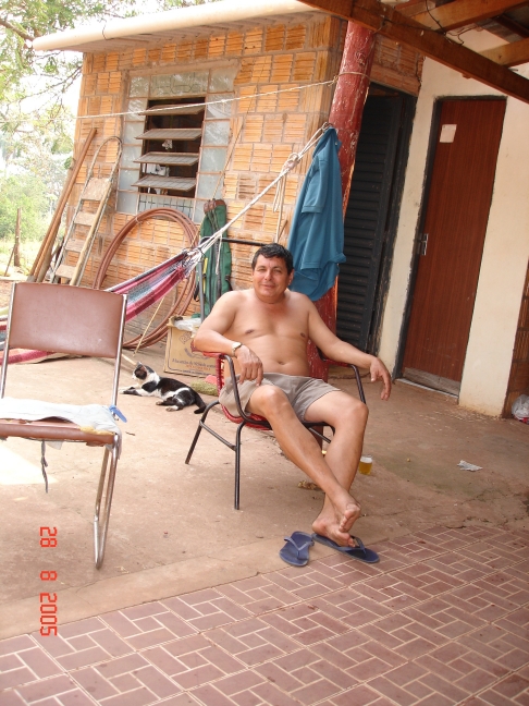 Foto - Palmeiras_(4).jpg