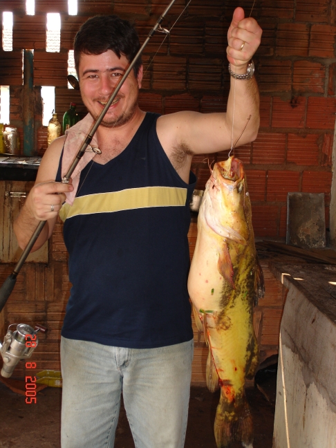 Foto - Palmeiras_(7).jpg